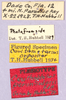 CollectionObject 1499671; 834e18f2-fd98-4743-bc6c-6f2bb473ab87: labels. (CollectionObject).