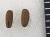 Rhamphosipyloidea palumensis Hasenpusch & Brock, 2007: copyright Paul D. Brock. egg: dorsal and lateral views (scale bar, 1mm). (Otu).