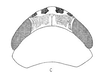 Head: !! display not done !! on Frequenamia spiniventris (Linnavuori, 1955): head, dorsally. (Observation).