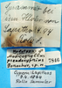 CollectionObject 1500759; 99e6c6e6-b70c-4df8-a157-40b8cd6e318e: labels (holotype). (CollectionObject).