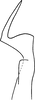 Stylus: !! display not done !! on Eratoneura stannardi (Hepner, 1967): Stylus (holotype). (Observation).