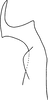 Stylus on Erythridula obvia (Beamer, 1930): Stylus. (Observation).