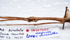 CollectionObject 1576182; b16ccf43-a5fc-46fe-9574-0e422feb23ab: copyright SPM, Kinabalu. female: head & thorax, lateral view (holotype). (CollectionObject).