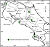Copiphora brevicauda costaricensis Naskrecki, 2000: map. (Otu).