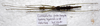 CollectionObject 1584556; 0ea350a7-1423-4907-8e9b-ab42d19e2a2a: (CollectionObject).
