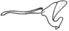 Fig. 45G. cingulum, lateral view. Depicts Borellia alejomesai Carbonell, 1995, an Otu.