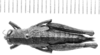 CollectionObject 1524816; 9eb5f351-9fb7-491c-b699-8c34c8e63d07: female, dorsal view (holotype of Sitalces rubripes). (CollectionObject).