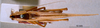 CollectionObject 1506721; 8db43aef-91f4-4c15-81f1-addc7b79763c: male, dorsal view (holotype). (CollectionObject).
