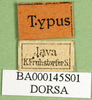 CollectionObject 1502790; 0a4c59e1-506c-44f8-82e0-8a127a7da526: labels. (CollectionObject).