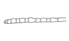 Hypsipages dives Gerstaecker, 1889: Fig. 3. male, antenna. (Otu).