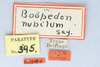 CollectionObject 2737807; 488e0acf-27f9-45e3-abb4-20aa81bdf37f, CNCI 13484: labels (paratype). (CollectionObject).