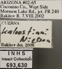 Other: !! display not done !! on Cuerna kaloostiani Nielson, 1965: Labels. (Observation).