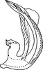Aedeagus, lateral view on Shamala (Shamala) shamalae Dworakowska, 1994: Aedeagus, lateral view. (Observation).
