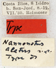 CollectionObject 1531905; e22effd1-71b1-4887-989a-ca6bff1a9fb9: labels (holotype). (CollectionObject).