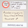 CollectionObject 1557206; NHMUK(SF IMPORT DUPLICATE) 844748, 05419db8-951b-49b9-9e62-e5a487ac9425: copyright Natural History Museum, London. male, data labels (holotype). (CollectionObject).