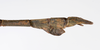 CollectionObject 1561638; ca7deb07-2648-450a-8683-7f3d5d29bbc7: copyright ZMUH, Hamburg. male, dorsal view of synonym Clitumnus laevigatus (syntype). (CollectionObject).