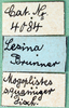 labels. Depicts CollectionObject 1502013; d2e6e507-c74c-4873-b9d6-6c59178c95c3, a CollectionObject.