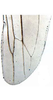 Hind wing on Amazygina decaspina Dietrich & Dmitriev, 2006: Hind wing (A. compressa Dietrich & Dmitriev). (Observation).