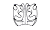 Hysterotettix nigricoxa Descamps, 1979: Fig. 42. phallic complex, frontal view. (Otu).