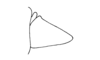 Lysacris festae (Giglio-Tos, 1898): Fig. 5. male cercus, lateral view, outer face. (Otu).