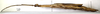 CollectionObject 1556981; 81c8cdfb-dfe3-4c0d-b73d-d7dd17604fa3: copyright MNHN, Paris. female, lateral view (holotype). (CollectionObject).