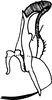 Subgenital plate, ventral view on Anufrievia ciconia Dworakowska, 1976: Subgenital plate, stylus and connective. (Observation).
