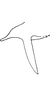 Anal tube processes on Cubnara gemmata (Distant, 1918): Anal tube processes. (Observation).