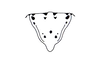 Pseudovilerna reducta (Brunner von Wattenwyl, 1900): Fig. 47. male epiproct. (Otu).