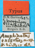 CollectionObject 1500829; 2cf000f7-7819-4d79-b928-896a82f3f2b2: labels (holotype). (CollectionObject).