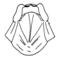 Ceuthophilus (Ceuthophilus) nevadensis Barnum, 1964: Fig. 110 (after paratrype). epiphallus. (Otu).