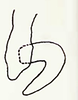 Stylus: Apical portion of style, lateral view. (Observation).