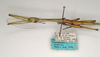 CollectionObject 1562025; 93bb3eb7-2d67-47e1-b92d-928e07fa2bc3: copyright ANIC, Canberra. female: head and thorax, lateral view (paratype). (CollectionObject).;CollectionObject 1562026; 82becf04-55d0-4b8a-af82-e8859489fee6: copyright ANIC, Canberra. female: head and thorax, lateral view (paratype). (CollectionObject).