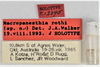 CollectionObject 1618730; 8940c5a1-2168-44ab-b17d-bd3da19a6a48: (CollectionObject).