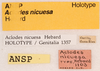 CollectionObject 1523747; f1a8ae68-265e-4836-8ba2-0db312d09a32: labels (holotype). (CollectionObject).