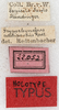 CollectionObject 1576642; NMW 22052, 54e50fc9-4298-425f-950e-d65cfb3c081e: labels (incorrectly labelled as type). (CollectionObject).