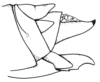 Arminda fuerteventurae Holzapfel, 1972: Fig. 4 A. female abdomen tip, lateral view. (Otu).