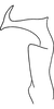 Stylus: Stylus (holotype). (Observation).