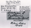 CollectionObject 1526583; c10bfe5a-7355-4276-a1e2-7eb81bba1936: Image C.S. Carbonell. labels. (CollectionObject).