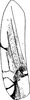 Forewing on Aguriahana paivana (Distant, 1918): Forewing (male, Burma). (Observation).