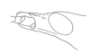 Leptalacris fastigiata Descamps & Rowell, 1978: Fig. 3. male head, lateral view. (Otu).