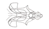 Yungasus hebardi (Liebermann, 1941): Fig. 29. cingulum and endophallus, dorsal view. (Otu).