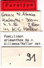 CollectionObject 1536544; fa96905d-32f4-4c93-9606-c6cd18cca76e: labels (paratype). (CollectionObject).