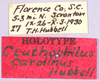 CollectionObject 1499230; 76d7d00c-0693-46df-9302-1681b8fd8e83: labels (holotype). (CollectionObject).