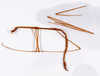 CollectionObject 1557993; 62e95d7c-484c-47aa-8df8-81501e7dfea6: copyright ZMHB, Berlin. male, lateral view (holotype). (CollectionObject).