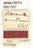 CollectionObject 1529798; 087b158f-77a4-41a6-a74c-16486240096c: labels (holotype). (CollectionObject).