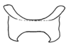 Aleuas uruguayensis Carbonell, 2008: Fig. 33G. epiphallus, dorsal view. (Otu).