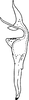 Stylus: Stylus (D. neka Dwor.). (Observation).