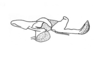Pollostacris expolita Amédégnato & Descamps, 1979: Fig. 187. endophallus, lateral view. (Otu).