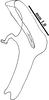 Aedeagus, lateral view on Concavifer marmoratus Dlabola, 1960: (Observation).