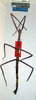 CollectionObject 1558231; NMW 330''', 51ad46c1-c04a-4195-a26d-9b5529f22601: copyright NMW, Vienna. female of synonym Clitumnus rivalis (paralectotype). (CollectionObject).